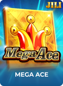 Mega Ace插图5