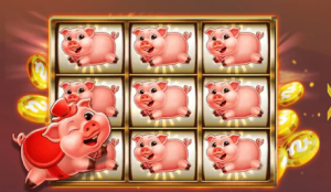 Fortune Pig插图